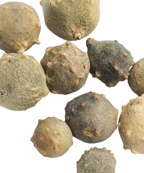 Gallnut biomass dyestuff