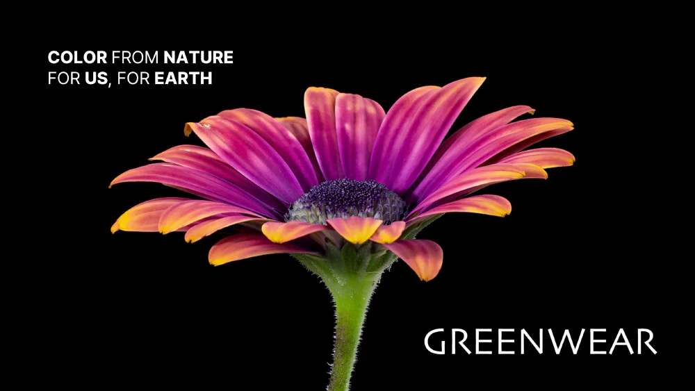 GREENWEAR ESG Fact Book cover featuring a flower