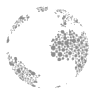 Earthshot National Representative